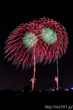 [第70回熊谷花火大会] <dl class='description'><dt>プログラムNo.</dt><dd>81</dd><dt>種別</dt><dd>スターマイン</dd><dt>提供</dt><dd>株式会社埼玉住宅情報センター(1)</dd></dl>