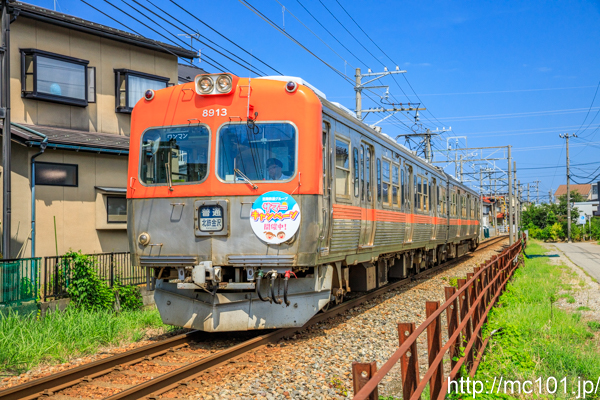 [写真]