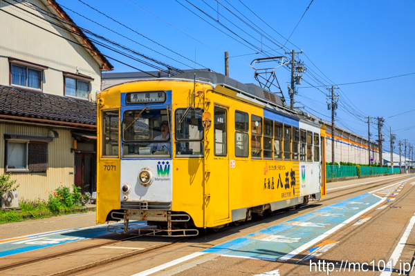 [写真]